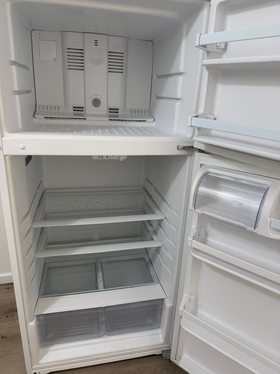 Fridge Deep Clean - After