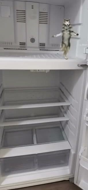 Spotless Fridge Interior